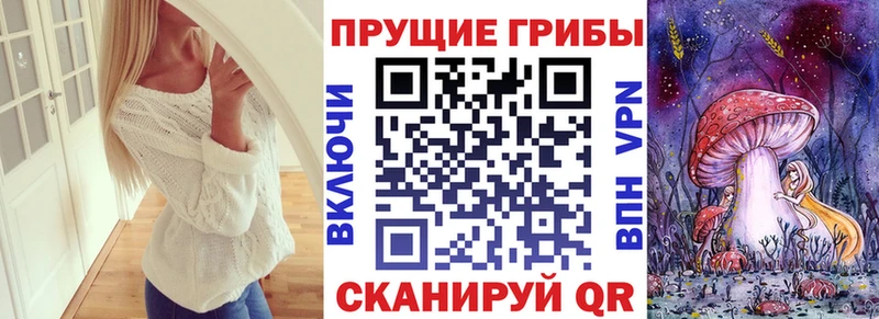 Купить  Свободный  Галлюциногенные грибы MAGIC MUSHROOMS 
